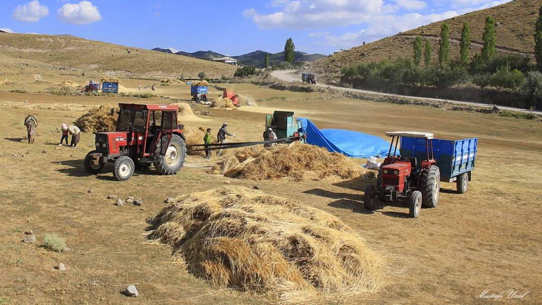 Konya’da kuraklığın içine çizilmiş harman portresi 5